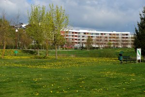 Poletne ugodnosti Golf Livada