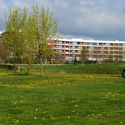 Poletne ugodnosti Golf Livada