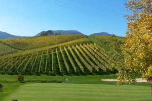 Zlati grič – razigrani v sezono 2016