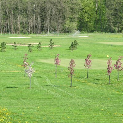 Otvoritveni turnir golf igrišča Radenci